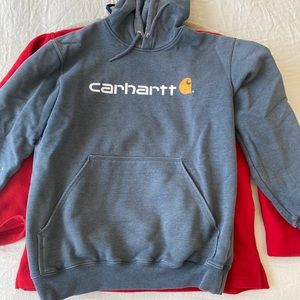 Cathartic Hoodie